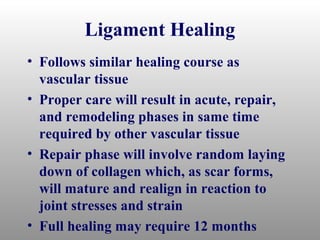 Ligament Healing
• Follows similar healing course as
  vascular tissue
• Proper care will result in acute, repair,
  and remodeling phases in same time
  required by other vascular tissue
• Repair phase will involve random laying
  down of collagen which, as scar forms,
  will mature and realign in reaction to
  joint stresses and strain
• Full healing may require 12 months
 