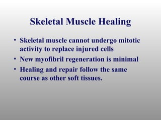 Skeletal Muscle Healing
• Skeletal muscle cannot undergo mitotic
  activity to replace injured cells
• New myofibril regeneration is minimal
• Healing and repair follow the same
  course as other soft tissues.
 