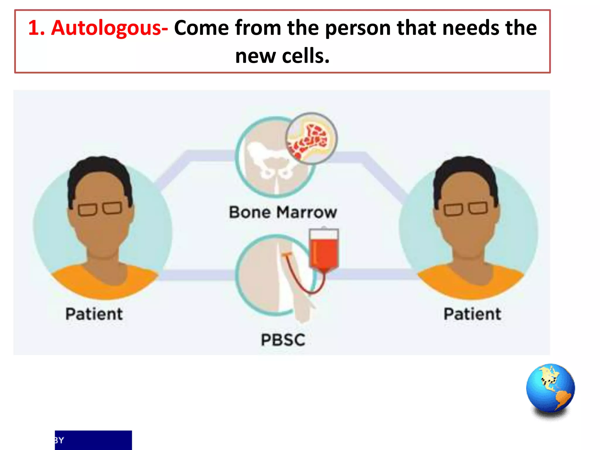 1. Autologous- Come from the person that needs the
new cells.
 