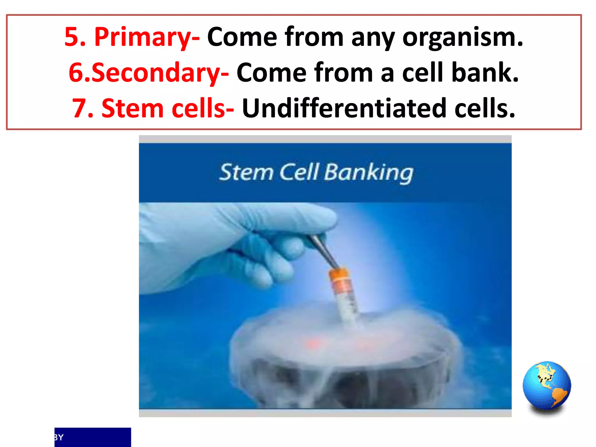 5. Primary- Come from any organism.
6.Secondary- Come from a cell bank.
7. Stem cells- Undifferentiated cells.
 