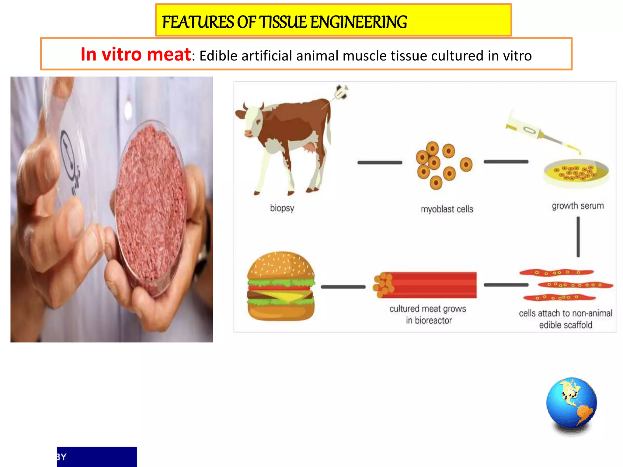 FEATURESOF TISSUEENGINEERING
In vitro meat: Edible artificial animal muscle tissue cultured in vitro
 