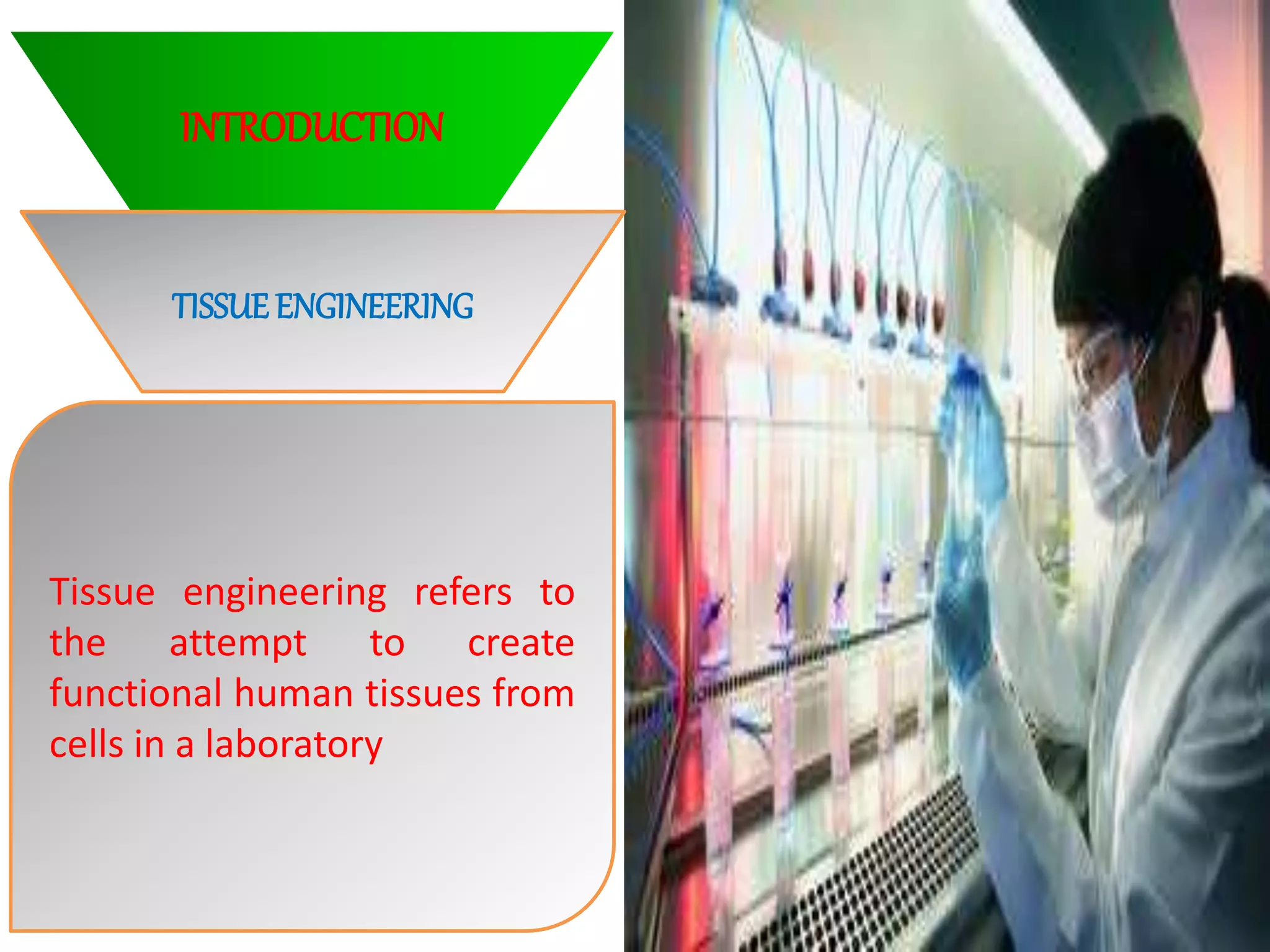 INTRODUCTION
TISSUEENGINEERING
Tissue engineering refers to
the attempt to create
functional human tissues from
cells in a laboratory
 