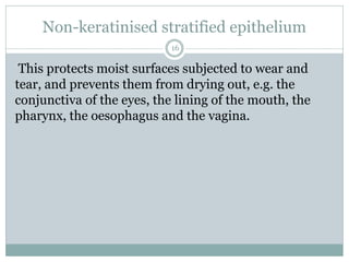 Non-keratinised stratified epithelium
16
This protects moist surfaces subjected to wear and
tear, and prevents them from drying out, e.g. the
conjunctiva of the eyes, the lining of the mouth, the
pharynx, the oesophagus and the vagina.
 