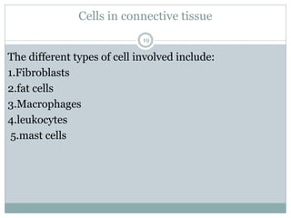 Cells in connective tissue
19
The different types of cell involved include:
1.Fibroblasts
2.fat cells
3.Macrophages
4.leukocytes
5.mast cells
 