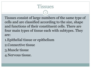 Tissues
2
Tissues consist of large numbers of the same type of
cells and are classified according to the size, shape
and functions of their constituent cells. There are
four main types of tissue each with subtypes. They
are:
1.Epithelial tissue or epithelium
2.Connective tissue
3.Muscle tissue
4.Nervous tissue.
 