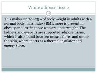 White adipose tissue
28
This makes up 20–25% of body weight in adults with a
normal body mass index (BMI, more is present in
obesity and less in those who are underweight. The
kidneys and eyeballs are supported adipose tissue,
which is also found between muscle fibres and under
the skin, where it acts as a thermal insulator and
energy store.
 