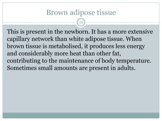 Brown adipose tissue
29
This is present in the newborn. It has a more extensive
capillary network than white adipose tissue. When
brown tissue is metabolised, it produces less energy
and considerably more heat than other fat,
contributing to the maintenance of body temperature.
Sometimes small amounts are present in adults.
 