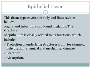 Epithelial tissue
3
This tissue type covers the body and lines cavities,
hollow
organs and tubes. It is also found in glands. The
structure
of epithelium is closely related to its functions, which
include:
✓ Protection of underlying structures from, for example,
dehydration, chemical and mechanical damage
✓ Secretion
✓ Absorption.
 