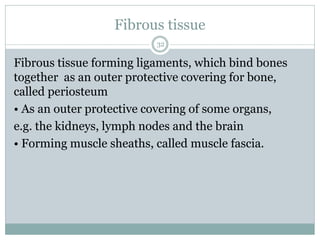 32
Fibrous tissue forming ligaments, which bind bones
together as an outer protective covering for bone,
called periosteum
• As an outer protective covering of some organs,
e.g. the kidneys, lymph nodes and the brain
• Forming muscle sheaths, called muscle fascia.
Fibrous tissue
 