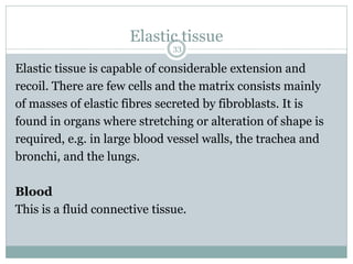 Elastic tissue
33
Elastic tissue is capable of considerable extension and
recoil. There are few cells and the matrix consists mainly
of masses of elastic fibres secreted by fibroblasts. It is
found in organs where stretching or alteration of shape is
required, e.g. in large blood vessel walls, the trachea and
bronchi, and the lungs.
Blood
This is a fluid connective tissue.
 
