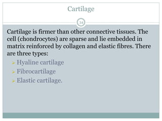 Cartilage
34
Cartilage is firmer than other connective tissues. The
cell (chondrocytes) are sparse and lie embedded in
matrix reinforced by collagen and elastic fibres. There
are three types:
➢ Hyaline cartilage
➢ Fibrocartilage
➢ Elastic cartilage.
 