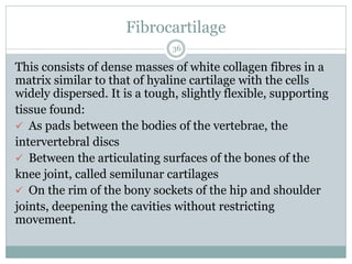Fibrocartilage
36
This consists of dense masses of white collagen fibres in a
matrix similar to that of hyaline cartilage with the cells
widely dispersed. It is a tough, slightly flexible, supporting
tissue found:
✓ As pads between the bodies of the vertebrae, the
intervertebral discs
✓ Between the articulating surfaces of the bones of the
knee joint, called semilunar cartilages
✓ On the rim of the bony sockets of the hip and shoulder
joints, deepening the cavities without restricting
movement.
 