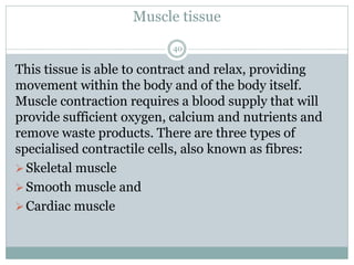 Muscle tissue
40
This tissue is able to contract and relax, providing
movement within the body and of the body itself.
Muscle contraction requires a blood supply that will
provide sufficient oxygen, calcium and nutrients and
remove waste products. There are three types of
specialised contractile cells, also known as fibres:
➢Skeletal muscle
➢Smooth muscle and
➢Cardiac muscle
 
