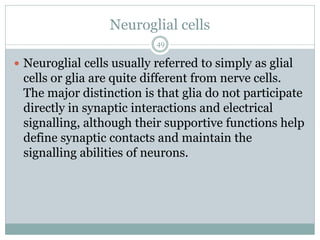 Neuroglial cells
49
 Neuroglial cells usually referred to simply as glial
cells or glia are quite different from nerve cells.
The major distinction is that glia do not participate
directly in synaptic interactions and electrical
signalling, although their supportive functions help
define synaptic contacts and maintain the
signalling abilities of neurons.
 