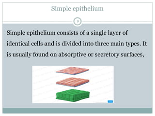 Simple epithelium
8
Simple epithelium consists of a single layer of
identical cells and is divided into three main types. It
is usually found on absorptive or secretory surfaces,
 