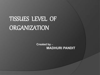 TISSUES LEVEL OF
ORGANIZATION
Created by –
MADHURI PANDIT
 