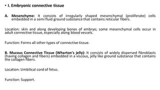 • I. Embryonic connective tissue
A. Mesenchyme: It consists of irregularly shaped mesenchymal (proliferate) cells
embedded...
