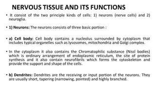 • Classification of neurons:
• According to functional classification it is divided in to:
• i) Sensory neurons or afferen...