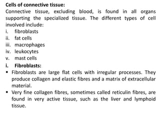 Cells of connective tissue:
Connective tissue, excluding blood, is found in all organs
supporting the specialized tissue. The different types of cell
involved include:
i. fibroblasts
ii. fat cells
iii. macrophages
iv. leukocytes
v. mast cells
i. Fibroblasts:
 Fibroblasts are large flat cells with irregular processes. They
produce collagen and elastic fibres and a matrix of extracellular
material.
 Very fine collagen fibres, sometimes called reticulin fibres, are
found in very active tissue, such as the liver and lymphoid
tissue.
 