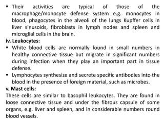 Their activities are typical of those of the
macrophage/monocyte defense system e.g. monocytes in
blood, phagocytes in the alveoli of the lungs Kupffer cells in
liver sinusoids, fibroblasts in lymph nodes and spleen and
microglial cells in the brain.
iv. Leukocytes:
 White blood cells are normally found in small numbers in
healthy connective tissue but migrate in significant numbers
during infection when they play an important part in tissue
defense.
 Lymphocytes synthesize and secrete specific antibodies into the
blood in the presence of foreign material, such as microbes.
v. Mast cells:
These cells are similar to basophil leukocytes. They are found in
loose connective tissue and under the fibrous capsule of some
organs, e.g. liver and spleen, and in considerable numbers round
blood vessels.
 
