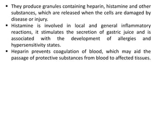  They produce granules containing heparin, histamine and other
substances, which are released when the cells are damaged by
disease or injury.
 Histamine is involved in local and general inflammatory
reactions, it stimulates the secretion of gastric juice and is
associated with the development of allergies and
hypersensitivity states.
 Heparin prevents coagulation of blood, which may aid the
passage of protective substances from blood to affected tissues.
 