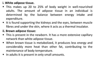 i. White adipose tissue.
 This makes up 20 to 25% of body weight in well-nourished
adults. The amount of adipose tissue in an individual is
determined by the balance between energy intake and
expenditure.
 It is found supporting the kidneys and the eyes, between muscle
fibres and under the skin, where it acts as a thermal insulator.
ii. Brown adipose tissue:
 This is present in the newborn. It has a more extensive capillary
network than white adipose tissue.
 When brown tissue is metabolized, it produces less energy and
considerably more heat than other fat, contributing to the
maintenance of body temperature.
 In adults it is present in only small amounts.
 
