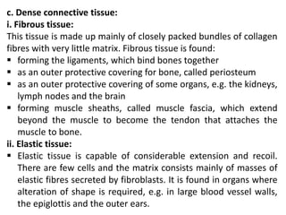 c. Dense connective tissue:
i. Fibrous tissue:
This tissue is made up mainly of closely packed bundles of collagen
fibres with very little matrix. Fibrous tissue is found:
 forming the ligaments, which bind bones together
 as an outer protective covering for bone, called periosteum
 as an outer protective covering of some organs, e.g. the kidneys,
lymph nodes and the brain
 forming muscle sheaths, called muscle fascia, which extend
beyond the muscle to become the tendon that attaches the
muscle to bone.
ii. Elastic tissue:
 Elastic tissue is capable of considerable extension and recoil.
There are few cells and the matrix consists mainly of masses of
elastic fibres secreted by fibroblasts. It is found in organs where
alteration of shape is required, e.g. in large blood vessel walls,
the epiglottis and the outer ears.
 