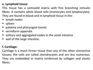 e. Lymphoid tissue:
This tissue has a semisolid matrix with fine branching reticulin
fibres. It contains white blood cells (monocytes and lymphocytes).
They are found in blood and in lymphoid tissue in the:
 lymph nodes
 spleen
 palatine and pharyngeal tonsils
 vermiform appendix
 solitary and aggregated nodes in the small intestine
 wall of the large intestine.
f. Cartilage:
Cartilage is a much firmer tissue than any of the other connective
tissues; the cells are called chondrocytes and are less numerous.
They are embedded in matrix reinforced by collagen and elastic
fibres.
 