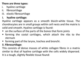 There are three types:
i. hyaline cartilage
ii. fibrocartilage
iii. elastic fibrocartilage
i. hyaline cartilage:
Hyaline cartilage appears as a smooth bluish-white tissue. The
chondrocytes are in small groups within cell nests and the matrix is
solid and smooth. Hyaline cartilage is found:
 on the surface of the parts of the bones that form joints
 forming the costal cartilages, which attach the ribs to the
sternum
 forming part of the larynx, trachea and bronchi.
ii. Fibrocartilage:
This consists of dense masses of white collagen fibres in a matrix
similar to that of hyaline cartilage with the cells widely dispersed.
It is a tough, slightly flexible tissue found:
 