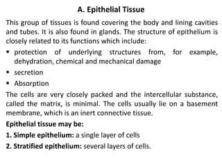 A. Epithelial Tissue
This group of tissues is found covering the body and lining cavities
and tubes. It is also found in glands. The structure of epithelium is
closely related to its functions which include:
 protection of underlying structures from, for example,
dehydration, chemical and mechanical damage
 secretion
 Absorption
The cells are very closely packed and the intercellular substance,
called the matrix, is minimal. The cells usually lie on a basement
membrane, which is an inert connective tissue.
Epithelial tissue may be:
1. Simple epithelium: a single layer of cells
2. Stratified epithelium: several layers of cells.
 