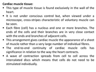 Cardiac muscle tissue:
 This type of muscle tissue is found exclusively in the wall of the
heart.
 It is not under conscious control but, when viewed under a
microscope, cross-stripes characteristic of voluntary muscle can
be seen.
 Each fibre (cell) has a nucleus and one or more branches. The
ends of the cells and their branches are in very close contact
with the ends and branches of adjacent cells.
 This arrangement gives cardiac muscle the appearance of a sheet
of muscle rather than a very large number of individual fibres.
 The end-to-end continuity of cardiac muscle cells has
significance in relation to the way the heart contracts.
 A wave of contraction spreads from cell to cell across the
intercalated discs which means that cells do not need to be
stimulated individually.
 