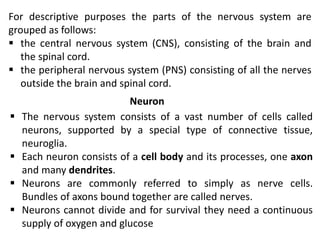 Neuron
For descriptive purposes the parts of the nervous system are
grouped as follows:
 the central nervous system (CNS), consisting of the brain and
the spinal cord.
 the peripheral nervous system (PNS) consisting of all the nerves
outside the brain and spinal cord.
 The nervous system consists of a vast number of cells called
neurons, supported by a special type of connective tissue,
neuroglia.
 Each neuron consists of a cell body and its processes, one axon
and many dendrites.
 Neurons are commonly referred to simply as nerve cells.
Bundles of axons bound together are called nerves.
 Neurons cannot divide and for survival they need a continuous
supply of oxygen and glucose
 