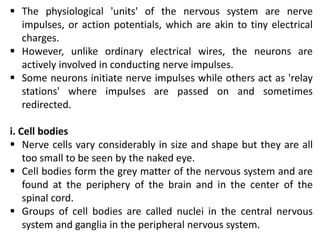  The physiological 'units' of the nervous system are nerve
impulses, or action potentials, which are akin to tiny electrical
charges.
 However, unlike ordinary electrical wires, the neurons are
actively involved in conducting nerve impulses.
 Some neurons initiate nerve impulses while others act as 'relay
stations' where impulses are passed on and sometimes
redirected.
i. Cell bodies
 Nerve cells vary considerably in size and shape but they are all
too small to be seen by the naked eye.
 Cell bodies form the grey matter of the nervous system and are
found at the periphery of the brain and in the center of the
spinal cord.
 Groups of cell bodies are called nuclei in the central nervous
system and ganglia in the peripheral nervous system.
 