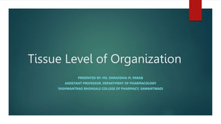 Tissue Level of Organization
 