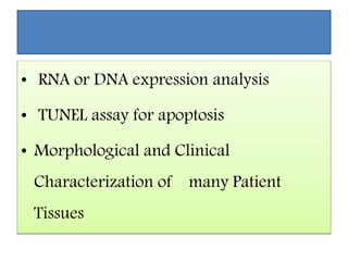 • RNA or DNA expression analysis
• TUNEL assay for apoptosis
• Morphological and Clinical
Characterization of many Patient
Tissues
 