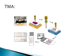 tissuemicroarraypresentation-230324094556-f5953335 (1).pptx