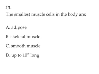 13.
The smallest muscle cells in the body are:
A. adipose
B. skeletal muscle
C. smooth muscle
D. up to 10” long
 