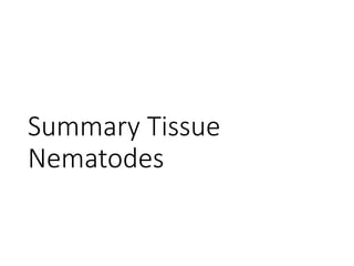 Summary Tissue
Nematodes
 