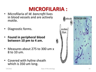 MICROFILARIA :
• Microfilaria of W. bancrofti lives
in blood vessels and are actively
motile.
• Diagnostic forms.
• Found in peripheral blood
between 10 pm to 4 am.
• Measures about 275 to 300 um x
8 to 10 um.
• Covered with hyline sheath
which is 350 um long.
7/9/2021 Dept of Microbiology 19
 
