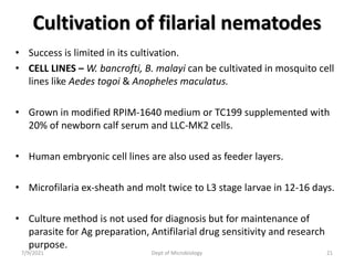 Cultivation of filarial nematodes
• Success is limited in its cultivation.
• CELL LINES – W. bancrofti, B. malayi can be cultivated in mosquito cell
lines like Aedes togoi & Anopheles maculatus.
• Grown in modified RPIM-1640 medium or TC199 supplemented with
20% of newborn calf serum and LLC-MK2 cells.
• Human embryonic cell lines are also used as feeder layers.
• Microfilaria ex-sheath and molt twice to L3 stage larvae in 12-16 days.
• Culture method is not used for diagnosis but for maintenance of
parasite for Ag preparation, Antifilarial drug sensitivity and research
purpose.
7/9/2021 Dept of Microbiology 21
 