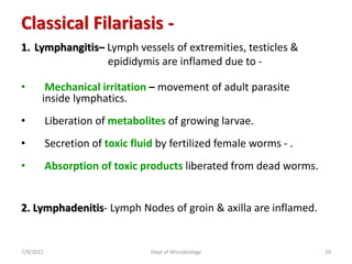 Classical Filariasis -
1. Lymphangitis– Lymph vessels of extremities, testicles &
epididymis are inflamed due to -
• Mechanical irritation – movement of adult parasite
inside lymphatics.
• Liberation of metabolites of growing larvae.
• Secretion of toxic fluid by fertilized female worms - .
• Absorption of toxic products liberated from dead worms.
2. Lymphadenitis- Lymph Nodes of groin & axilla are inflamed.
7/9/2021 Dept of Microbiology 29
 