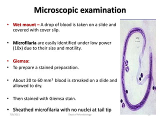 Microscopic examination
• Wet mount – A drop of blood is taken on a slide and
covered with cover slip.
• Microfilaria are easily identified under low power
(10x) due to their size and motility.
• Giemsa:
• To prepare a stained preparation.
• About 20 to 60 mm3 blood is streaked on a slide and
allowed to dry.
• Then stained with Giemsa stain.
• Sheathed microfilaria with no nuclei at tail tip
7/9/2021 Dept of Microbiology 36
 