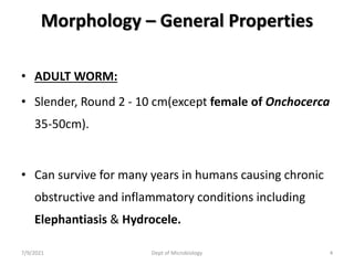Morphology – General Properties
• ADULT WORM:
• Slender, Round 2 - 10 cm(except female of Onchocerca
35-50cm).
• Can survive for many years in humans causing chronic
obstructive and inflammatory conditions including
Elephantiasis & Hydrocele.
7/9/2021 Dept of Microbiology 4
 