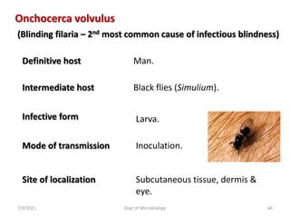 Onchocerca volvulus
Definitive host Man.
Intermediate host Black flies (Simulium).
Infective form Larva.
Mode of transmission Inoculation.
Site of localization Subcutaneous tissue, dermis &
eye.
(Blinding filaria – 2nd most common cause of infectious blindness)
7/9/2021 Dept of Microbiology 44
 