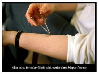 7/9/2021 Dept of Microbiology 48
 