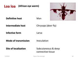Loa loa
Definitive host Man
Intermediate host Chrysops (deer fly)
Infective form Larva
Mode of transmission Inoculation
Site of localization Subcutaneous & deep
connective tissue
(African eye worm)
7/9/2021 Dept of Microbiology 49
 