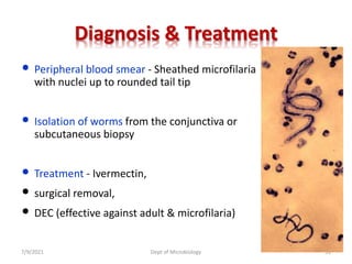 Diagnosis & Treatment
• Peripheral blood smear - Sheathed microfilaria
with nuclei up to rounded tail tip
• Isolation of worms from the conjunctiva or
subcutaneous biopsy
• Treatment - Ivermectin,
• surgical removal,
• DEC (effective against adult & microfilaria)
7/9/2021 Dept of Microbiology 51
 