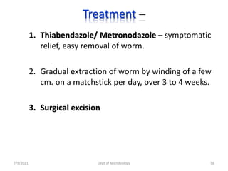 Treatment –
1. Thiabendazole/ Metronodazole – symptomatic
relief, easy removal of worm.
2. Gradual extraction of worm by winding of a few
cm. on a matchstick per day, over 3 to 4 weeks.
3. Surgical excision
7/9/2021 Dept of Microbiology 56
 