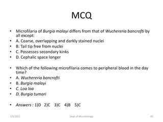 MCQ
• Microfilaria of Burgia malayi differs from that of Wuchereria bancrofti by
all except:
• A. Coarse, overlapping and darkly stained nuclei
• B. Tail tip free from nuclei
• C. Possesses secondary kinks
• D. Cephalic space longer
• Which of the following microfilaria comes to peripheral blood in the day
time?
• A. Wuchereria bancrofti
• B. Burgia malayi
• C. Loa loa
• D. Burgia tumori
• Answers : 1)D 2)C 3)C 4)B 5)C
7/9/2021 Dept of Microbiology 60
 