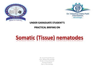 Somatic (Tissue) nematodes
Mr. Gunjal Prasad Niranjan
M.Sc. Medical Microbiology,
PG Dip in Clinical Research.
Assistant Professor
Dept. of Microbiology,
UNDER GARADUATE STUDENT’S
PRACTICAL BRIFING ON
 